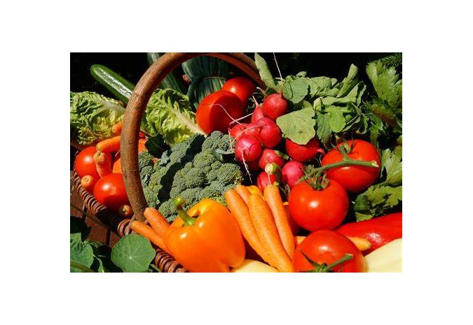 Un marché bio à Offwiller