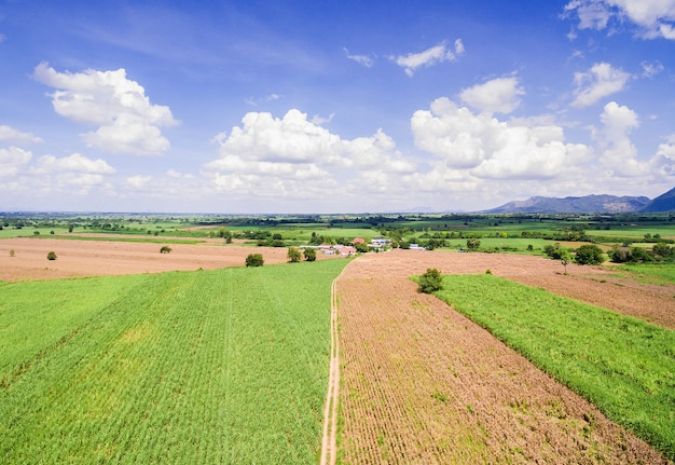 Mise en location de parcelles agricoles